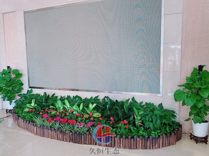 柯桥企业大厅显示屏组合花卉绿植摆放